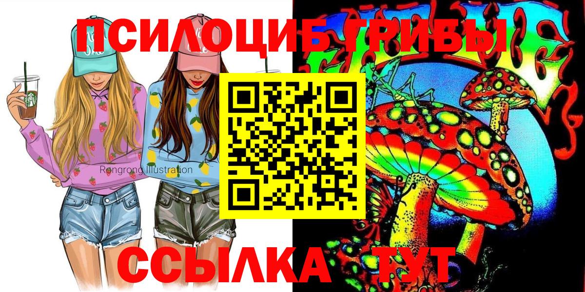 Галлюциногенные грибы Psilocybe  Вход с VPN  Галлюциногенные грибы MAGIC MUSHROOMS  Чайковский 
