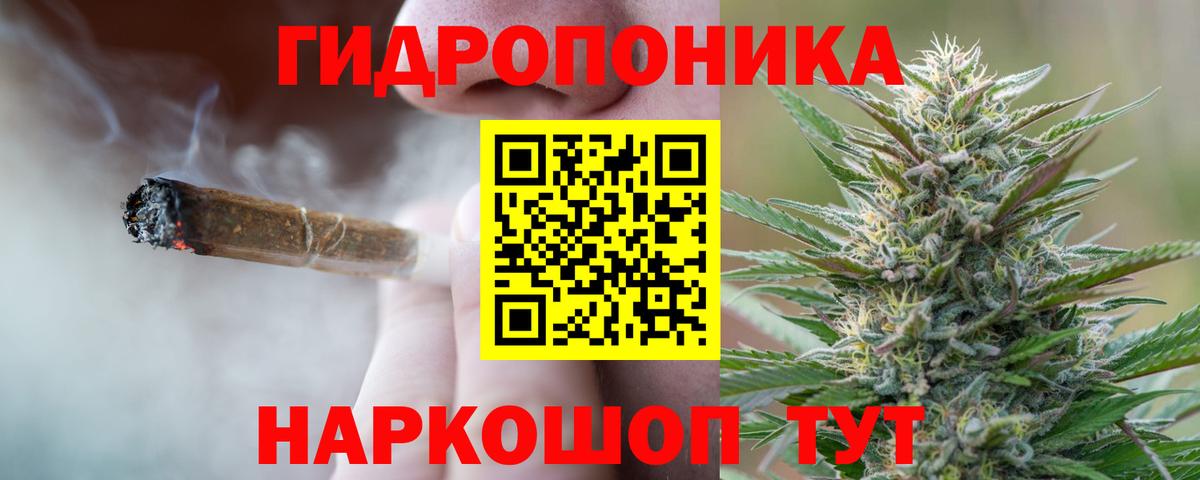 Конопля планчик Чайковский