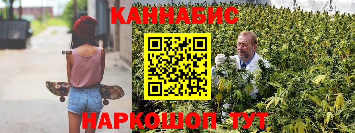 Канабис тримм  Бошки Шишки Bruce Banner  Бошки Шишки план  Вход с VPN  Марихуана индика  Чайковский 